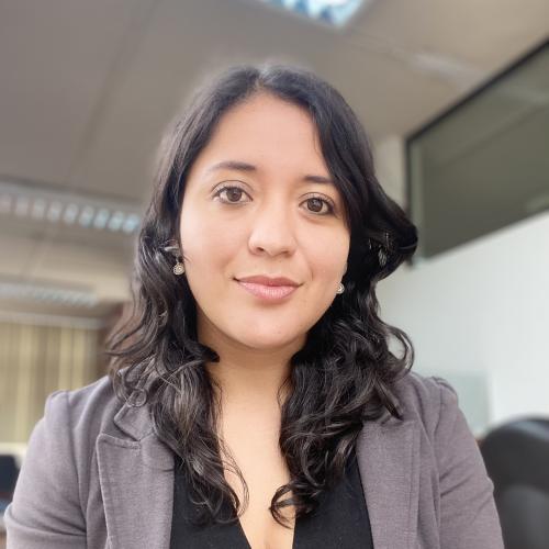 Mayra Ximena Guerrero Bacuilima